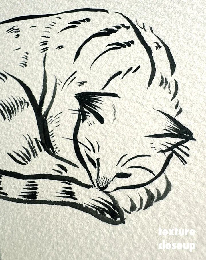 sleepingcat_front1 copy.jpg