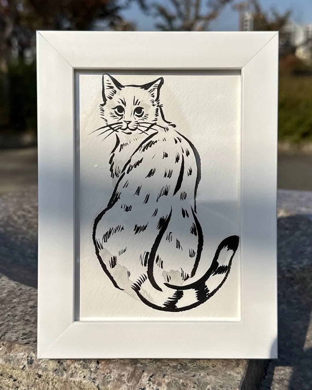 overshouldercat_frame.jpg