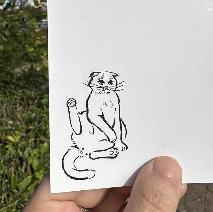 pinkcat_back1.jpg
