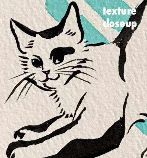 playfulkitten_closeup.jpg
