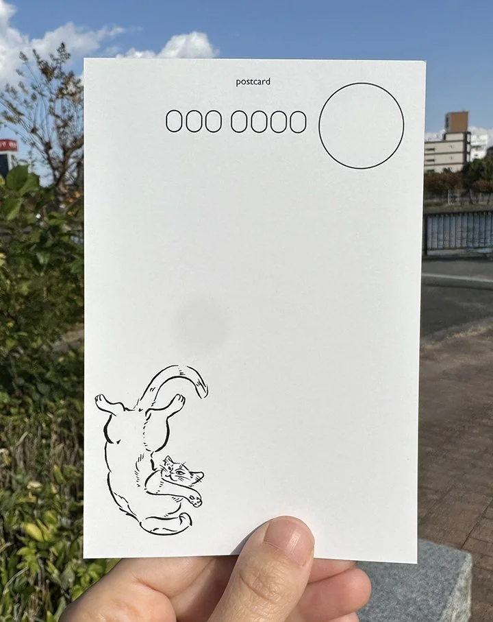 bluecat_back3 copy.jpg