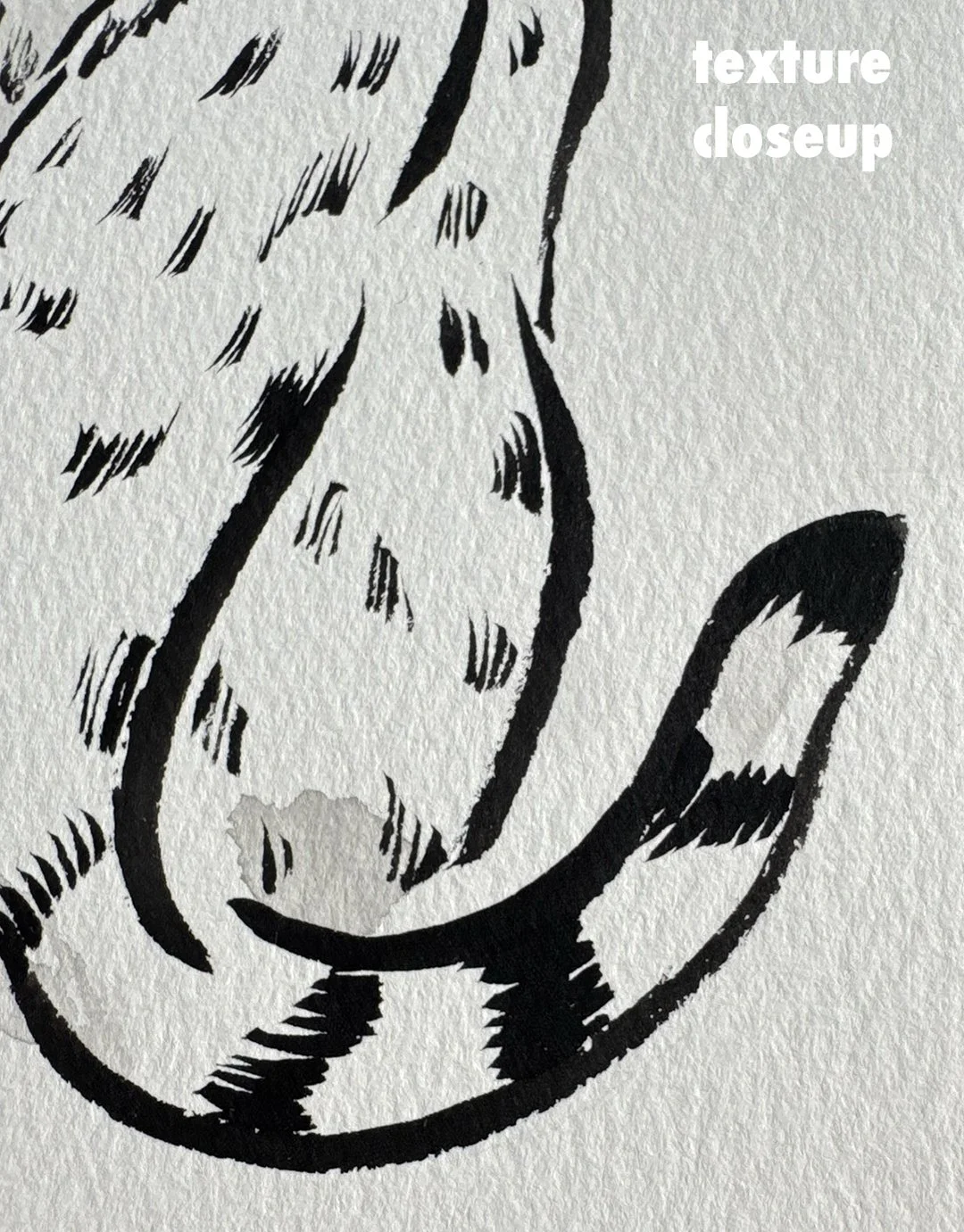 overshouldcat_front2.jpg