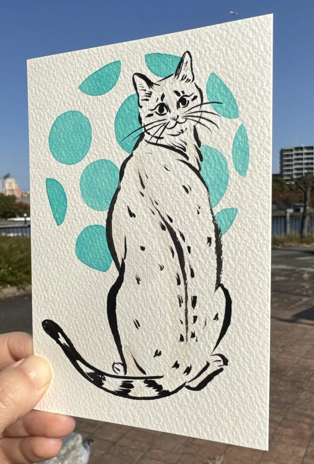 happycat_front1.jpg