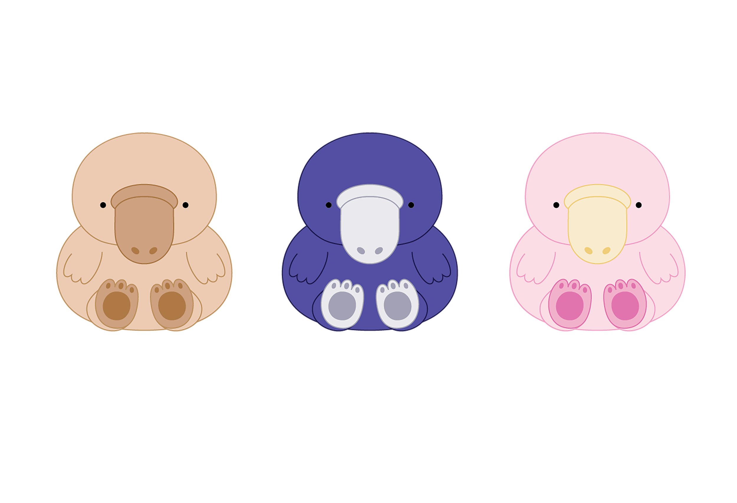platypus_colorways.jpg