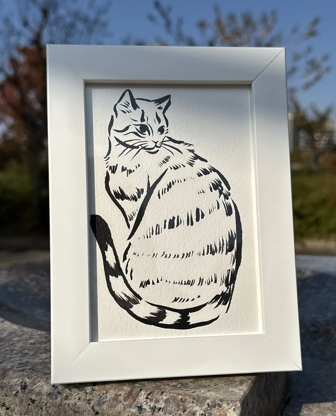tabbycat_frame1.jpg