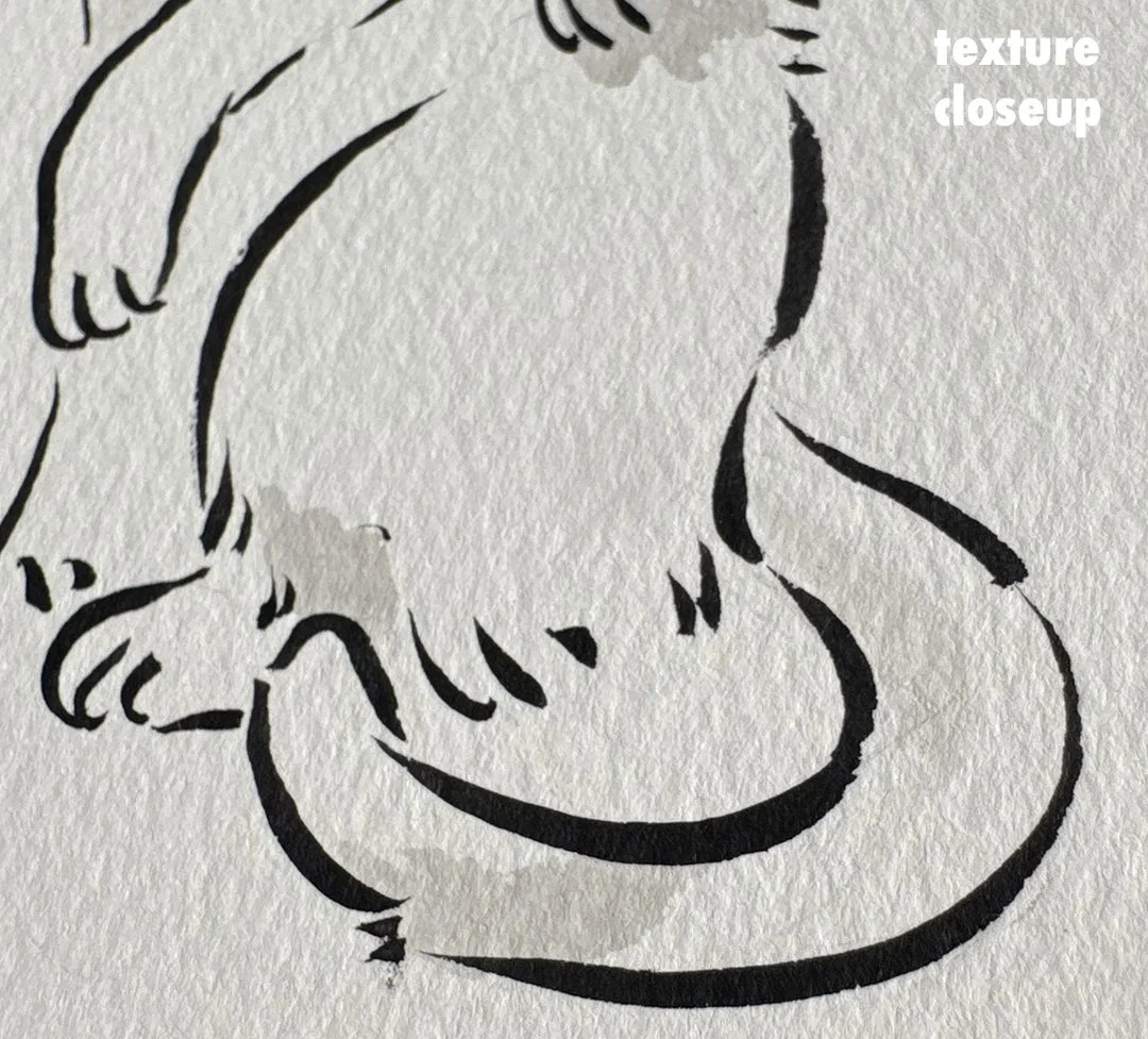 cockheadcat_front2.jpg