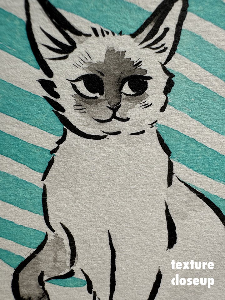 kittensiamese_front1 copy.jpg