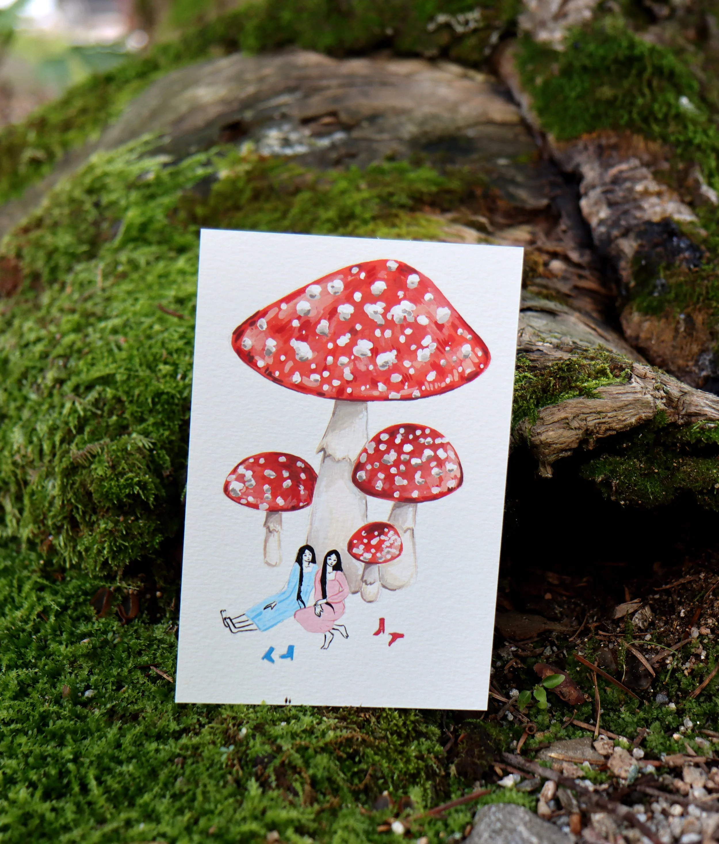 mushroomgirlssite1 copy.jpg