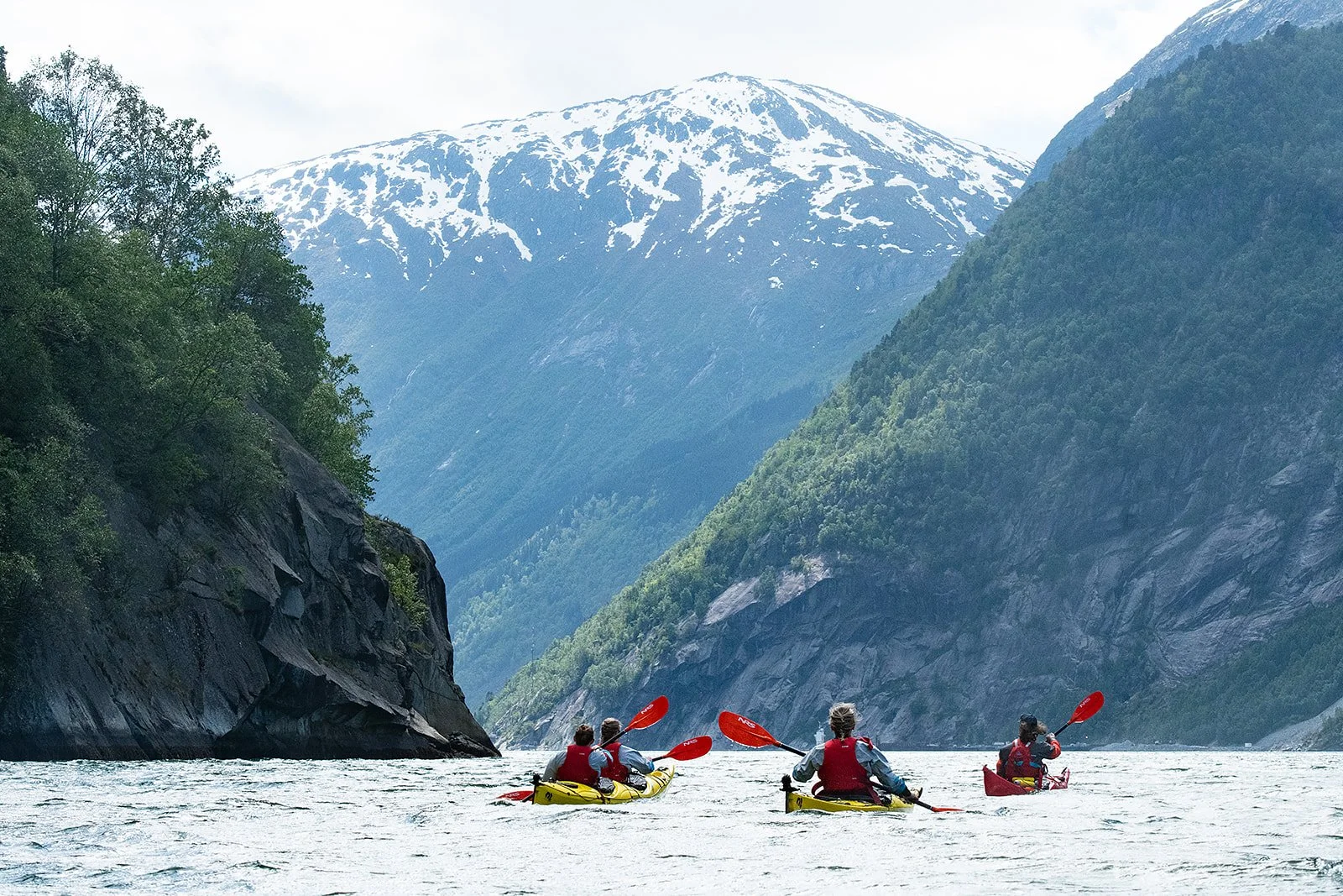 20250524-_DSC6266_websize.jpg