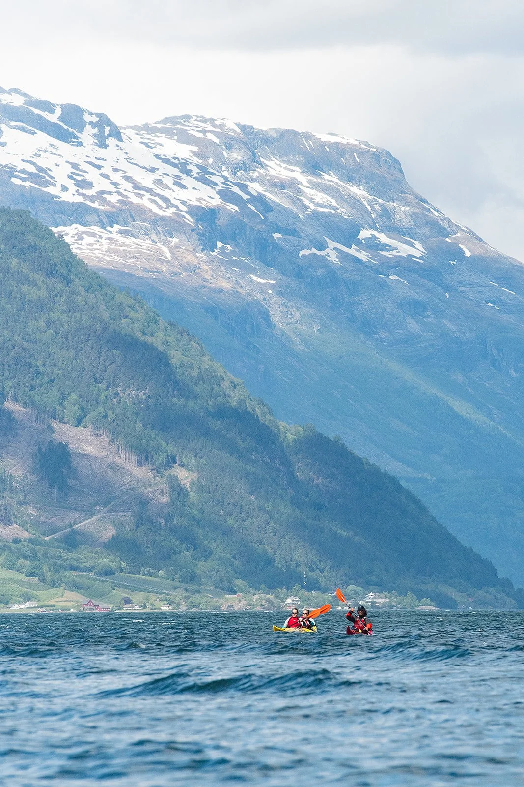 20250524-_DSC6280_websize.jpg