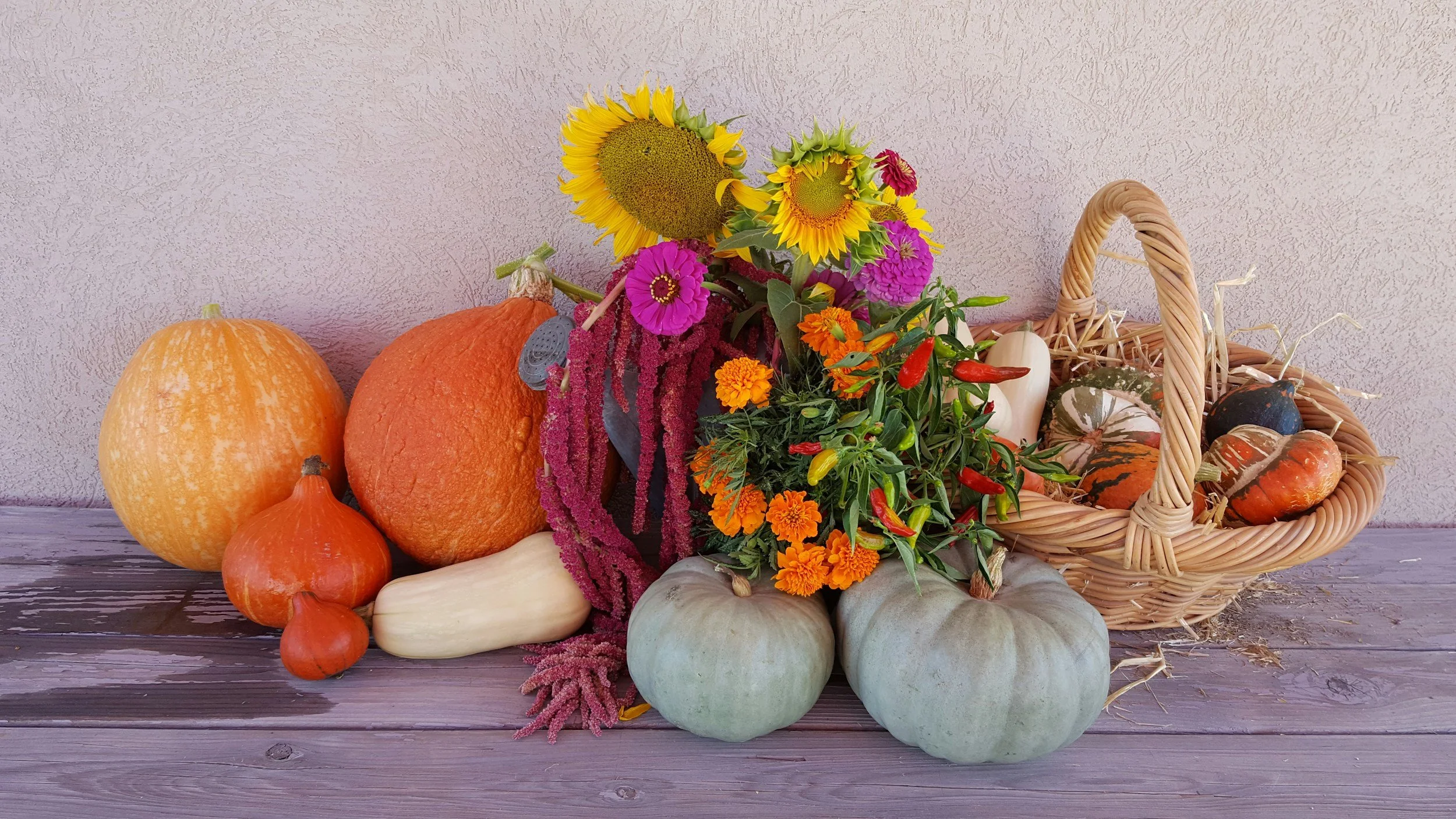 Harvest Service and Bring and Share Lunch