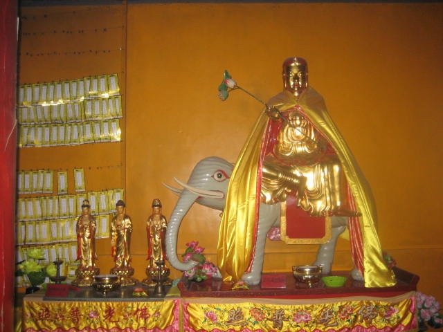 Karma Dana (Städning) i Malmö