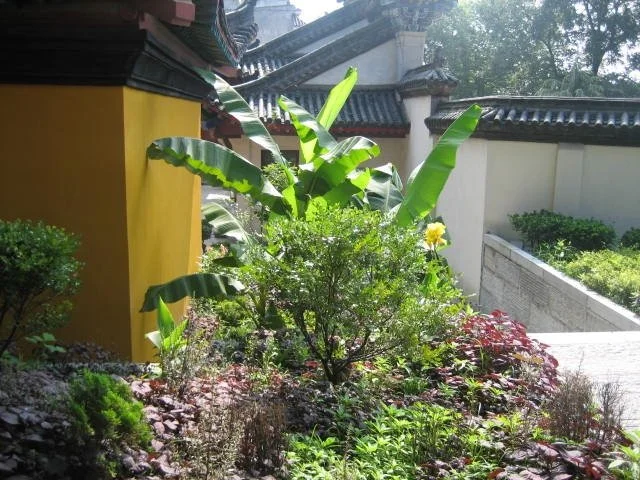 Karma Dana (Städning) i Malmö