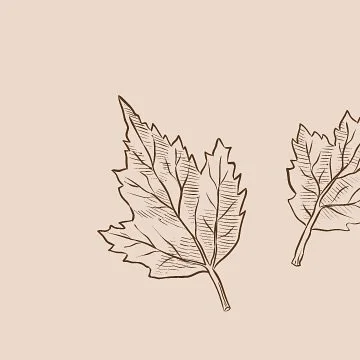 Autumn Boost 🍂 

12 Week Online Fitness Programme 

Starts Monday 16th September