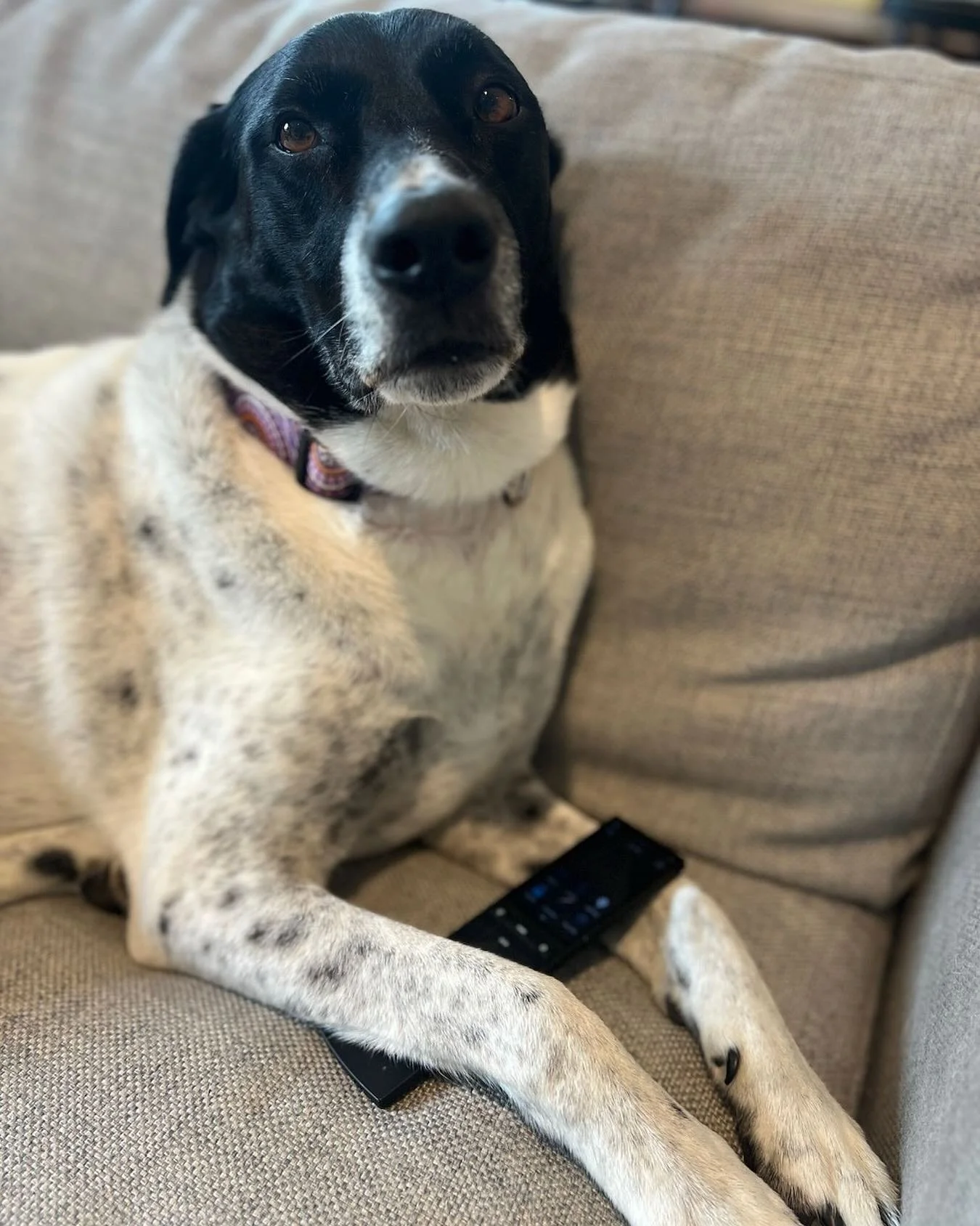 Hands off my @control4 remote!