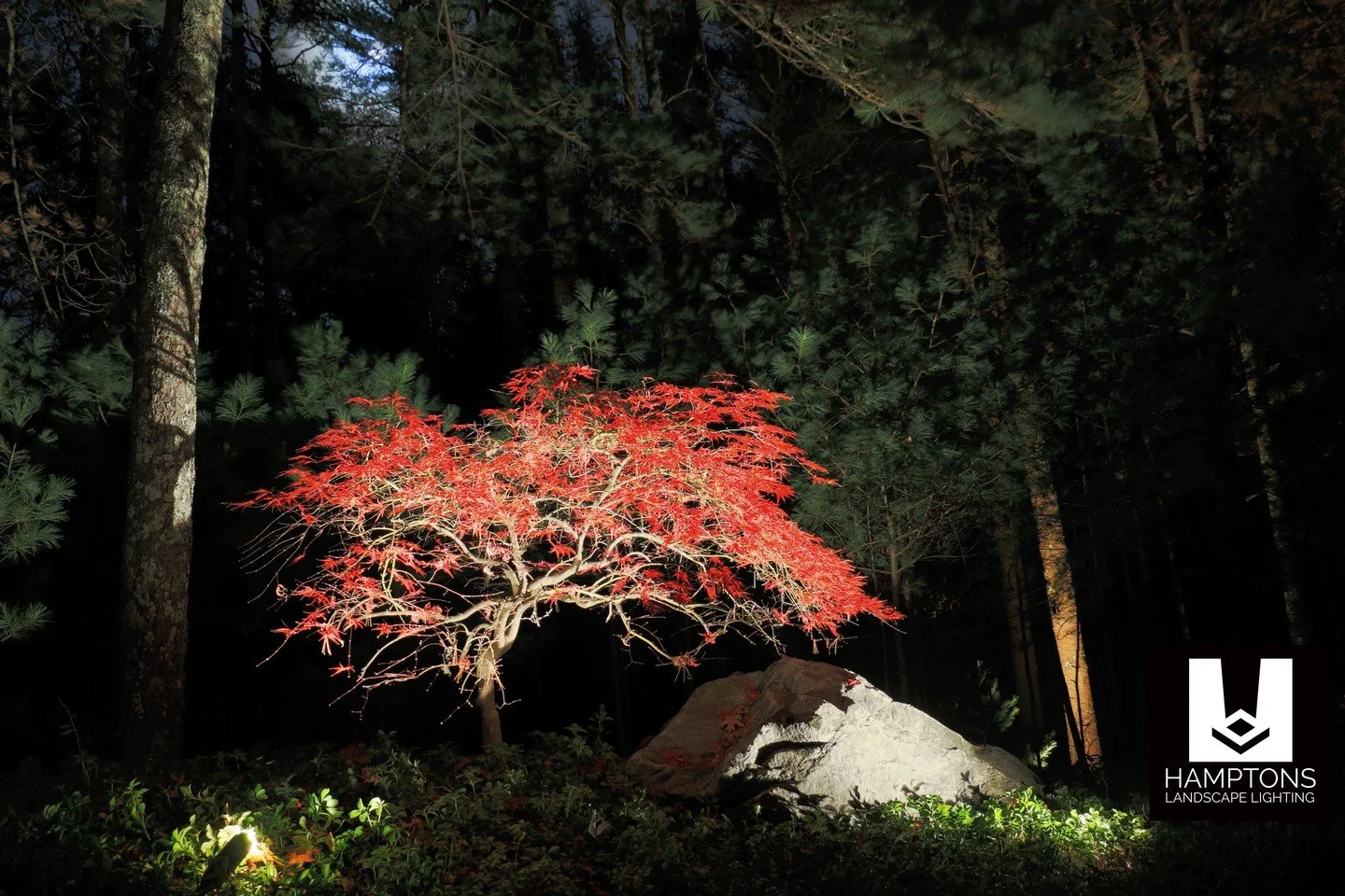 Luxury landscape lighting. We treat every project as unique, ensuring a bespoke lighting solution tailored to your specific requirements.  https://zurl.co/lGkMK