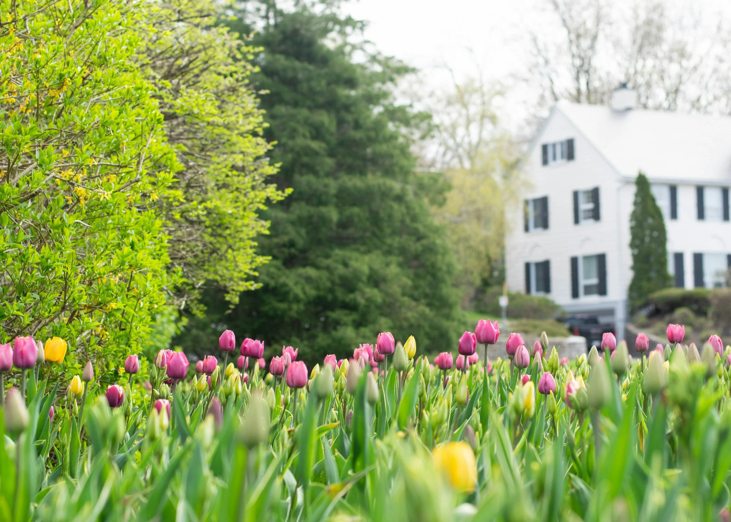 spring intelligent living maintenance for a happier summer