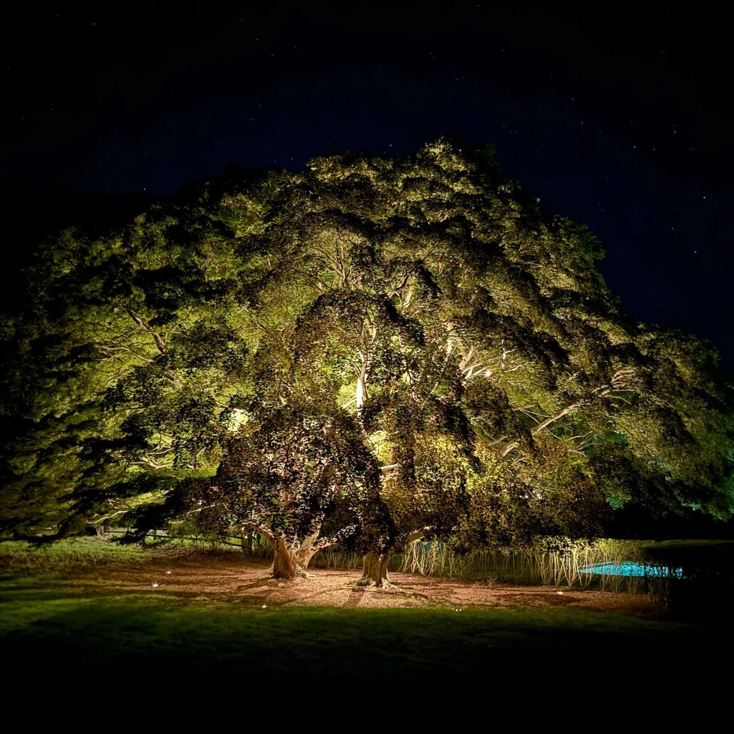 Expertise matters in outdoor lighting &mdash; and it shows in the details.

Two members of the HLL team have officially earned certification from the Association of Outdoor Lighting Professionals (AOLP), one of the industry&rsquo;s most respected pro