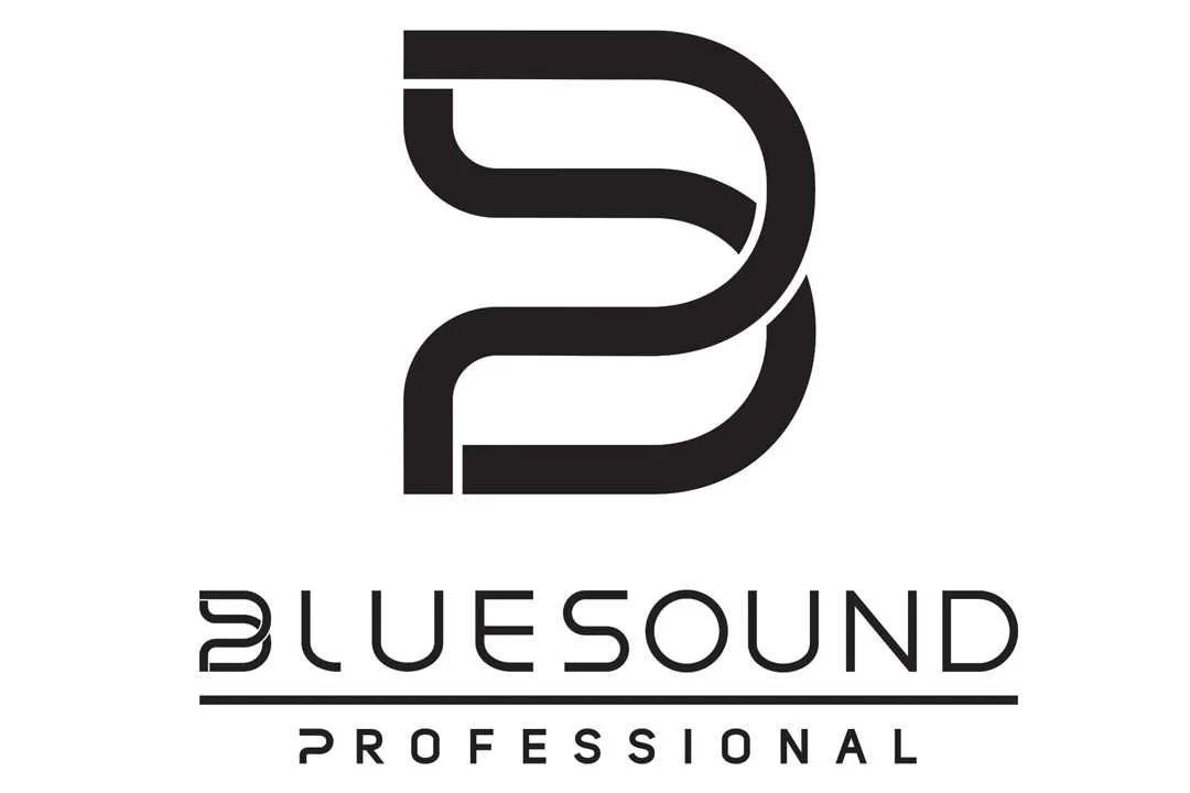 Blue Sound Audio Enhance Your Commercial Space with Bluesound Professional Networked ...