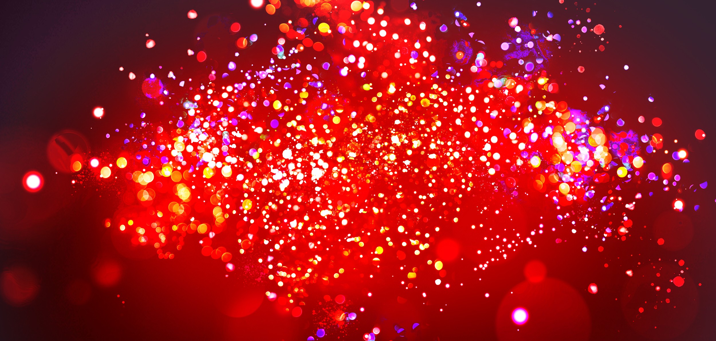 web_banner-01.png