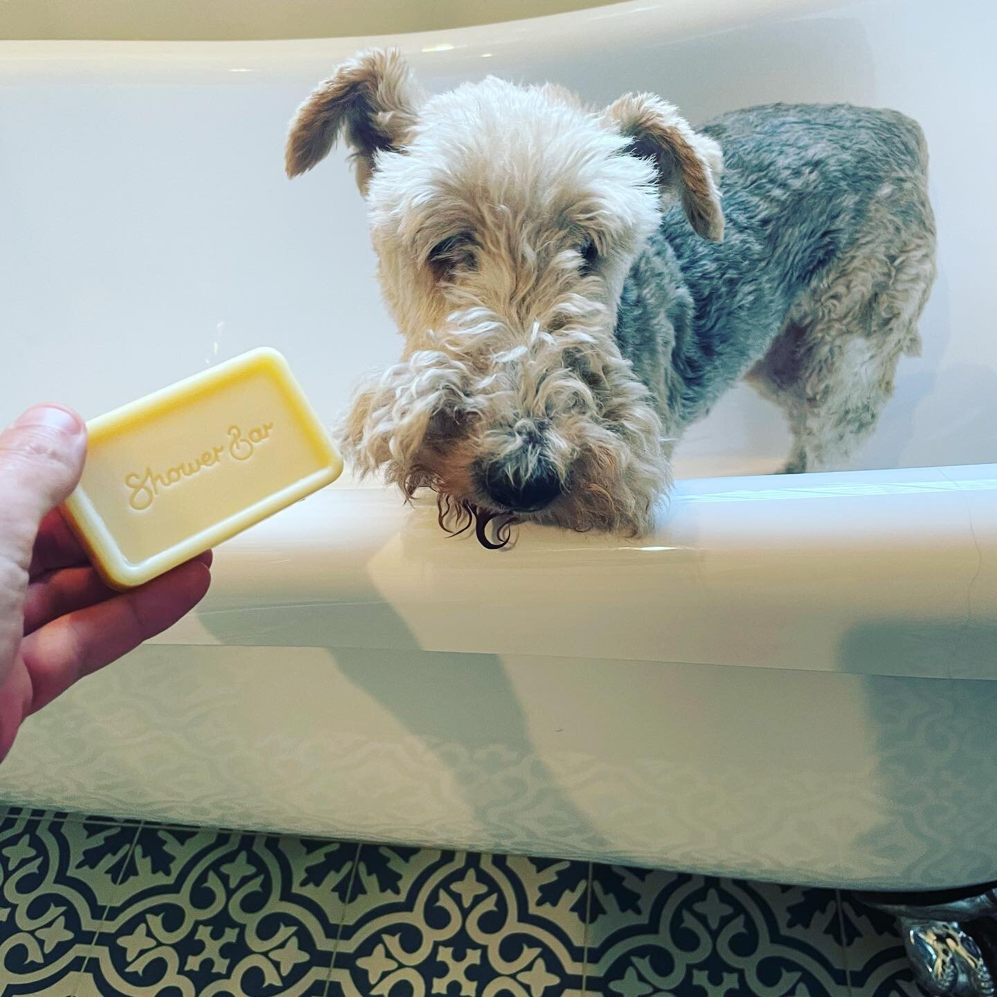 Thornton Baron Retail Portal