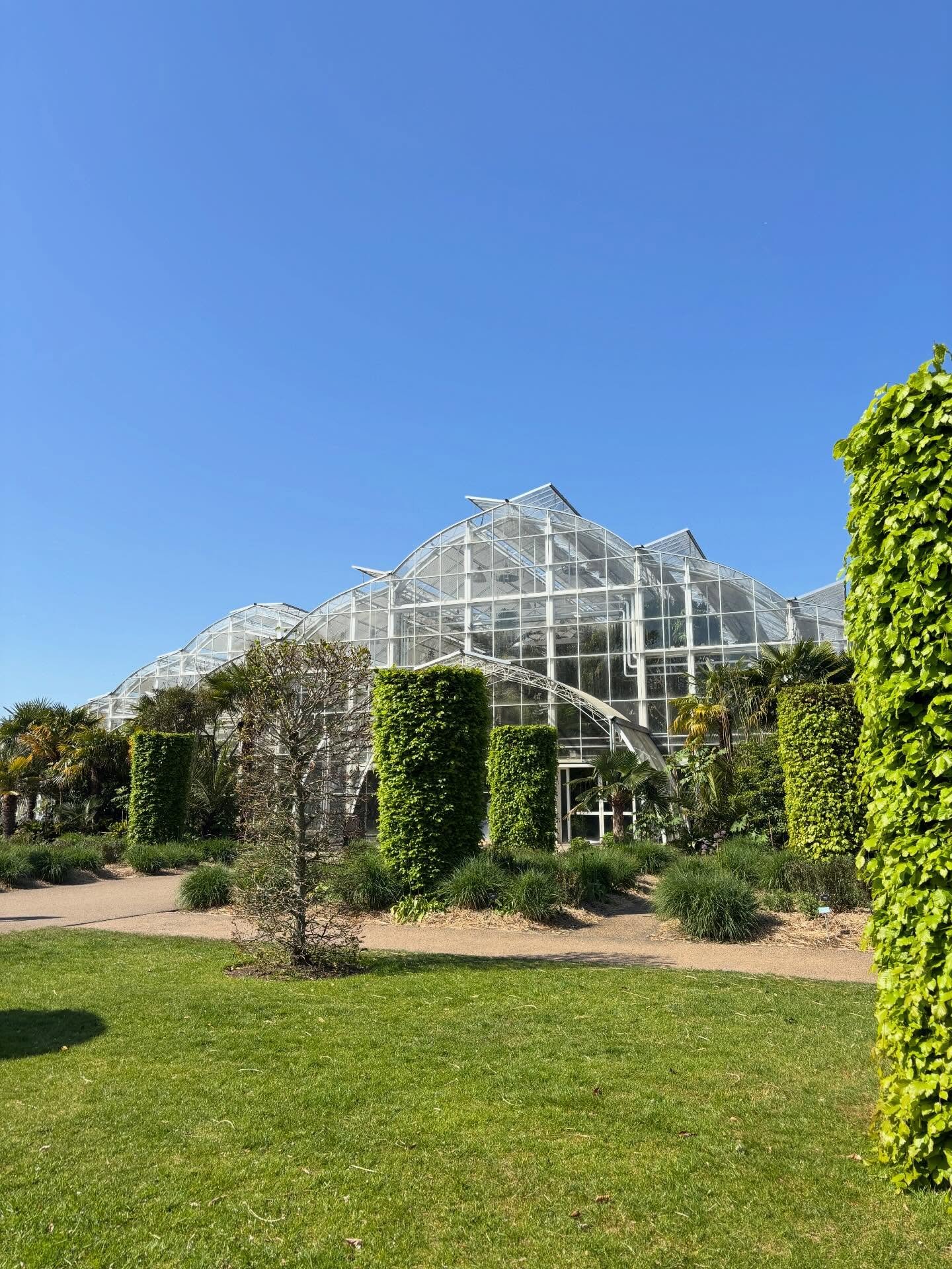/// RHS WISLEY - FESTIVAL OF SILVER - CRAFT IN FOCUS /// that&rsquo;s a wrap for this years show. Over the past five days (six if you inside set up) we&rsquo;ve had every type of weather you can get, of course we did that&rsquo;s the British bank hol