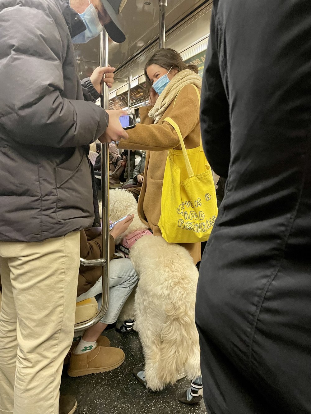Dog Subway 18.jpg