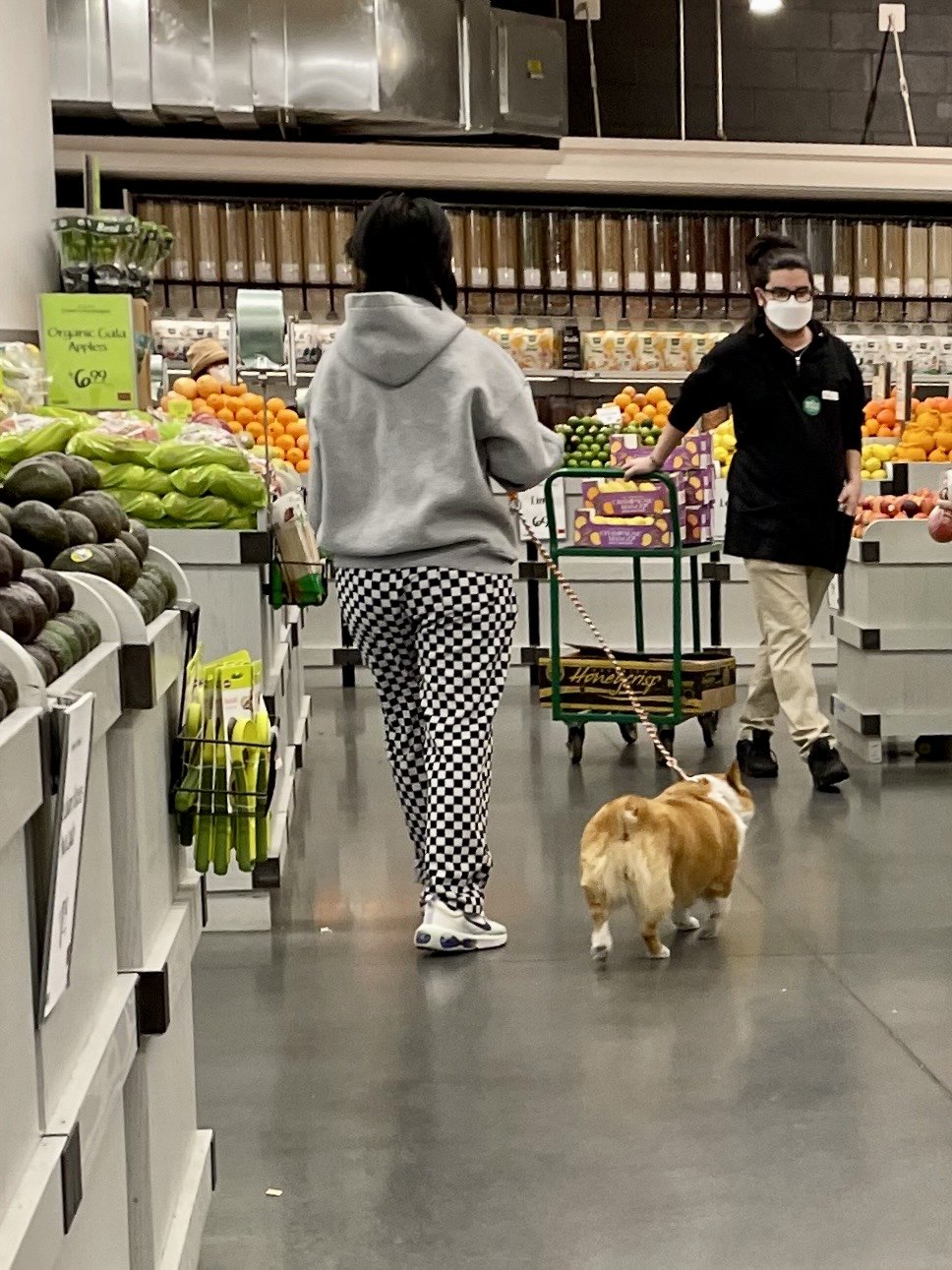 Dog Grocery Avocado.jpg