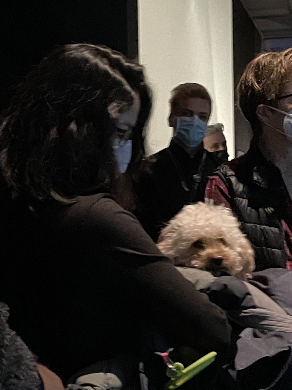 Dog Whitney Museum.jpg