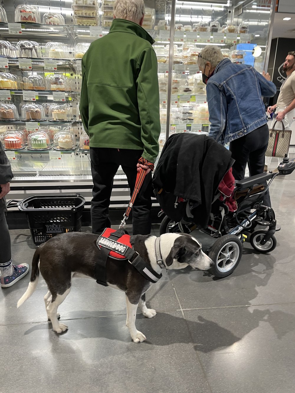 Dog Grocery Cakes.jpg