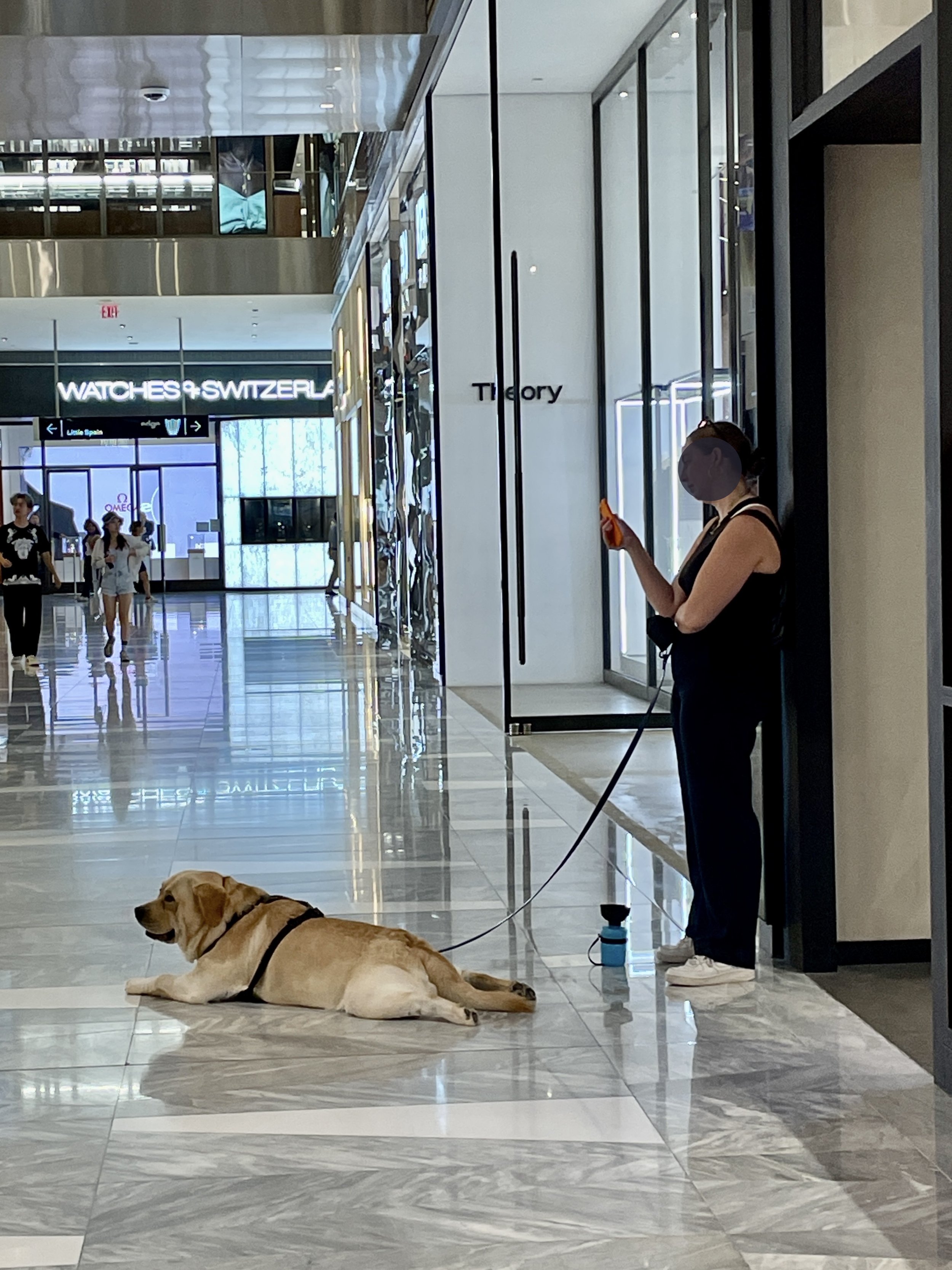 dog in mall.jpg