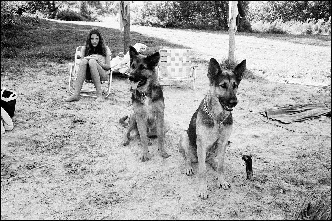 Life with dogs in Connecticut, 1967 by #IngeMorath 🐾
#germanshepherd #lifewithdogs