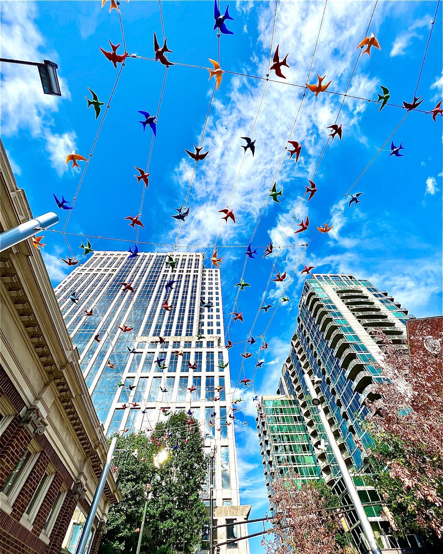 Public art adds enormous value to the cultural, aesthetic and economic vitality of a community. Kudos to @midtownatl for the new art installation on Peachtree St and Peachtree Place representing rebirth and regeneration 🙌🏼❤️

.
.
.
#atlanta  #disco