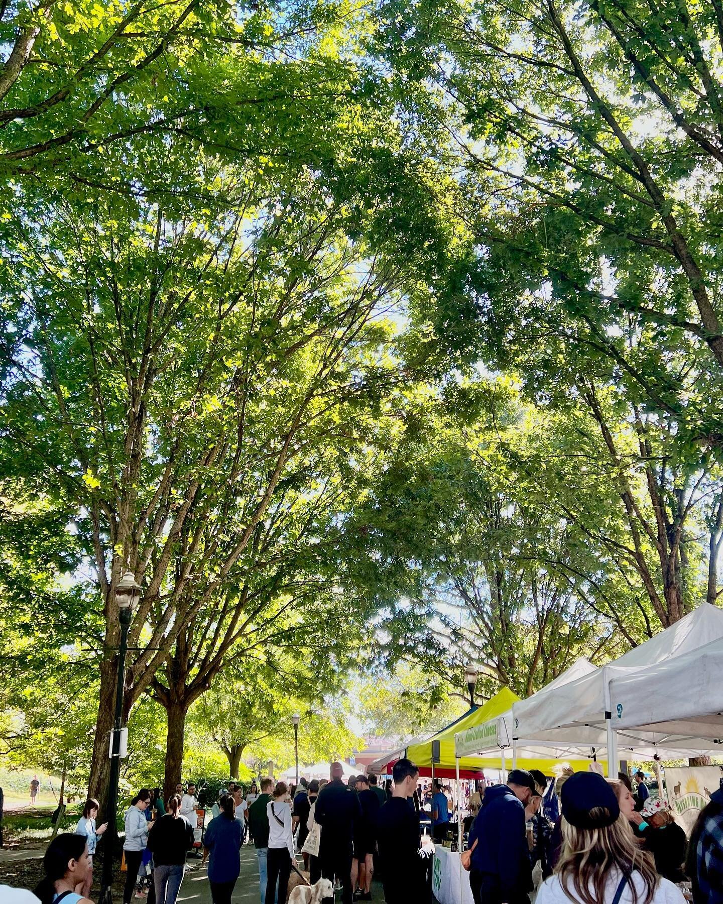 What a beautiful day. Get out and enjoy it☀️☀️☀️
.
.
.
#atlanta  #discoveratl #midtownatl #piedmontpark #whyiloveatl  #midtownatlanta #exploregeorgia #a_t_l_a_n_t_a #404#everythingatl #atlantasnaps  #ATL #atlantaphotography  #atlantaga  #bestofatlant