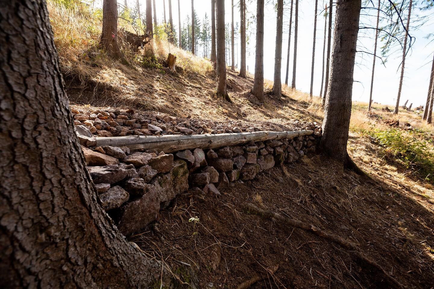 🚧Track Closed🚧

Die Bauma&szlig;nahmen befinden sich in den finalen Z&uuml;gen! Um die Sicherheit f&uuml;r die Crew zu garantieren, ist das befahren der Strecke strengstens Verboten 🚫 

Daf&uuml;r gibt es hier ein paar kleine Einblicke in die neue