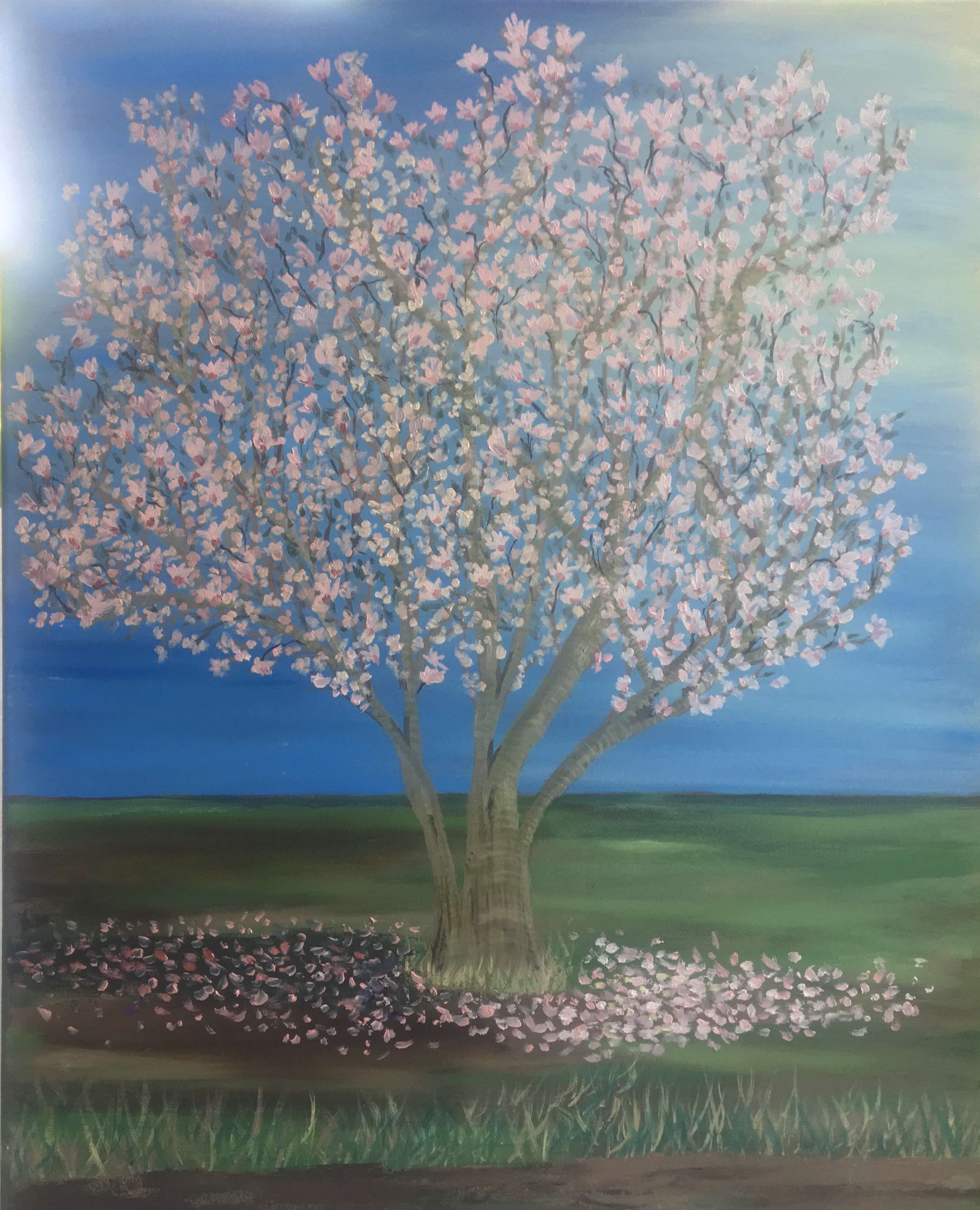24x30 Oil on Canvas