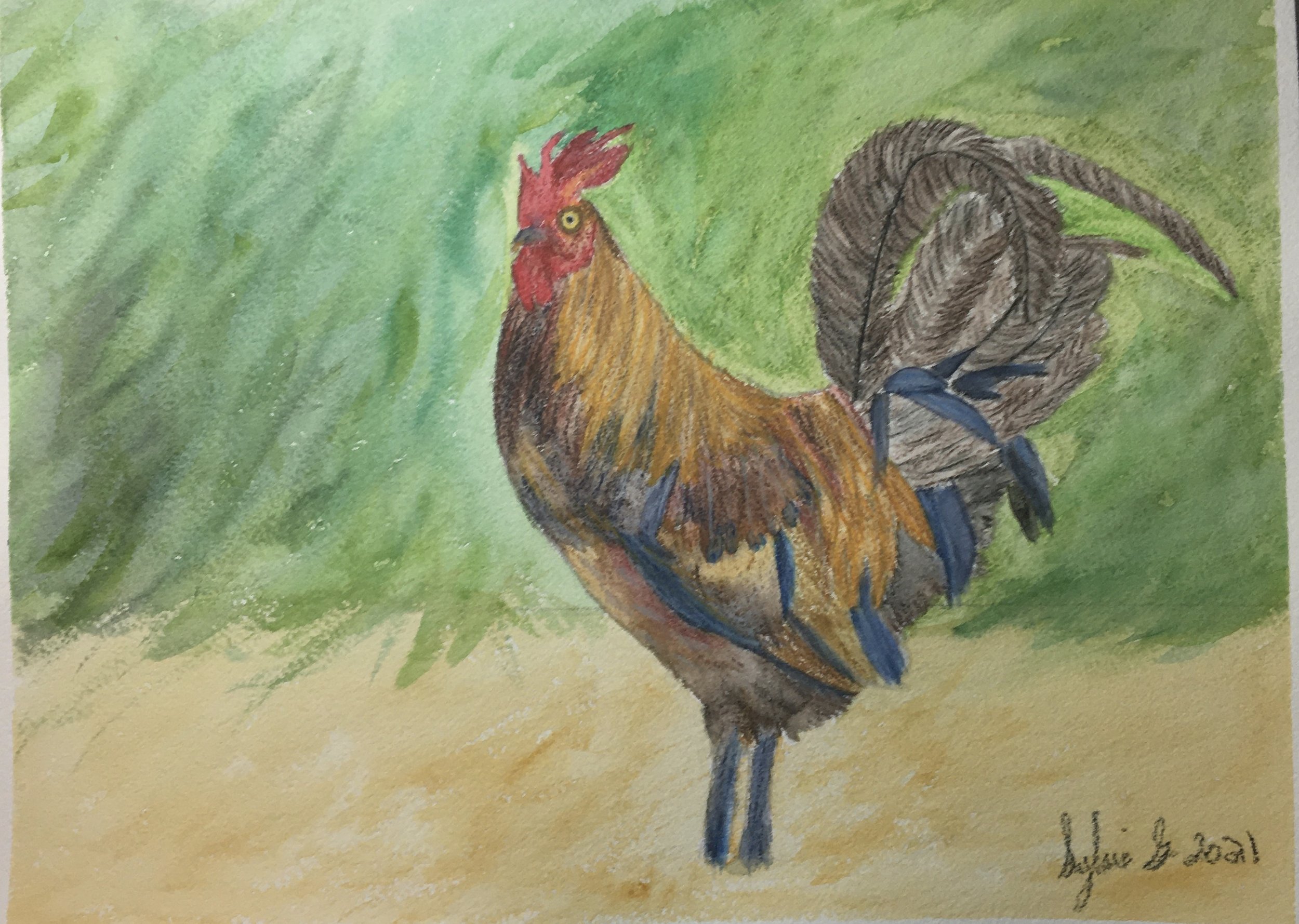 9x12 Watercolor