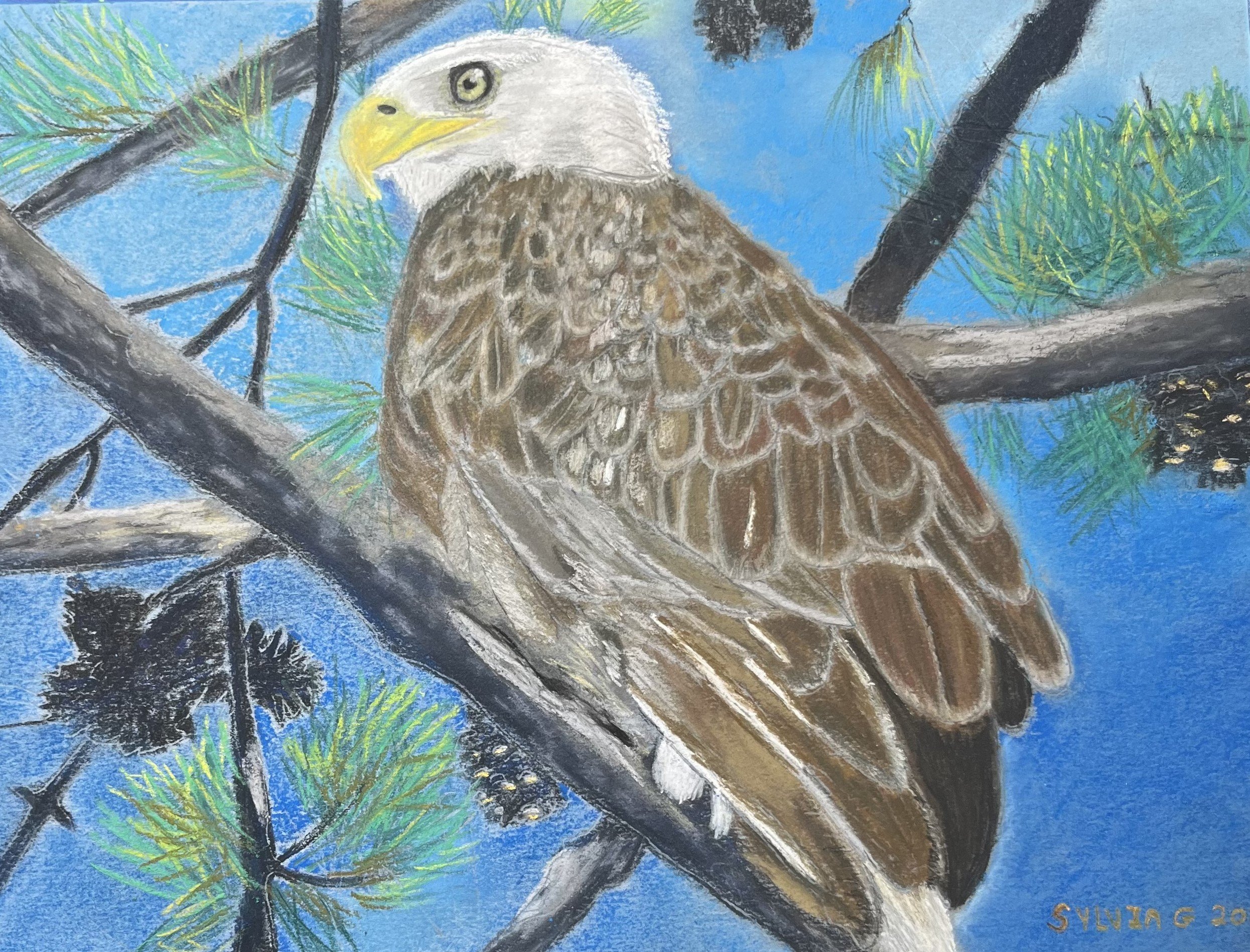 12x9 Pastel on paper