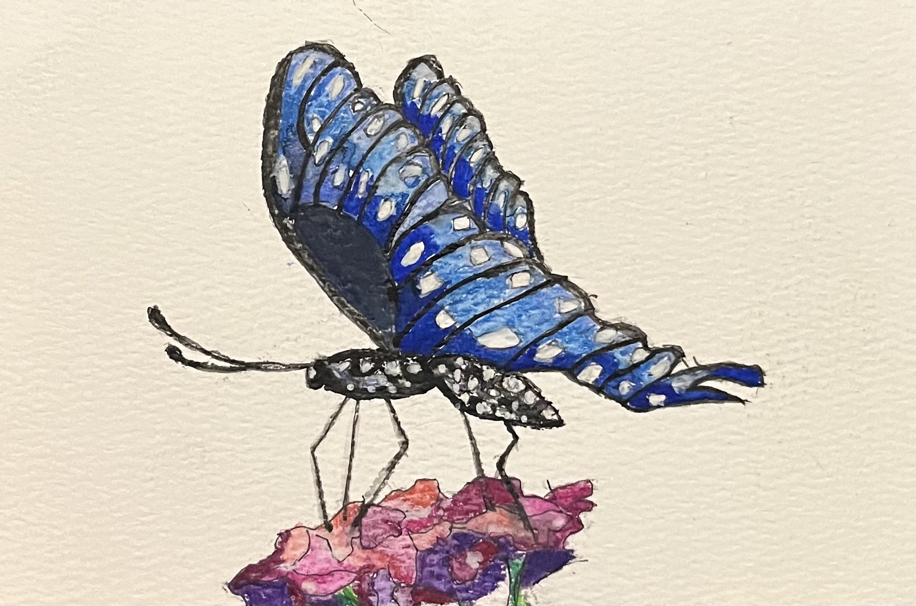 Butterfly 3
Watercolor on Paper