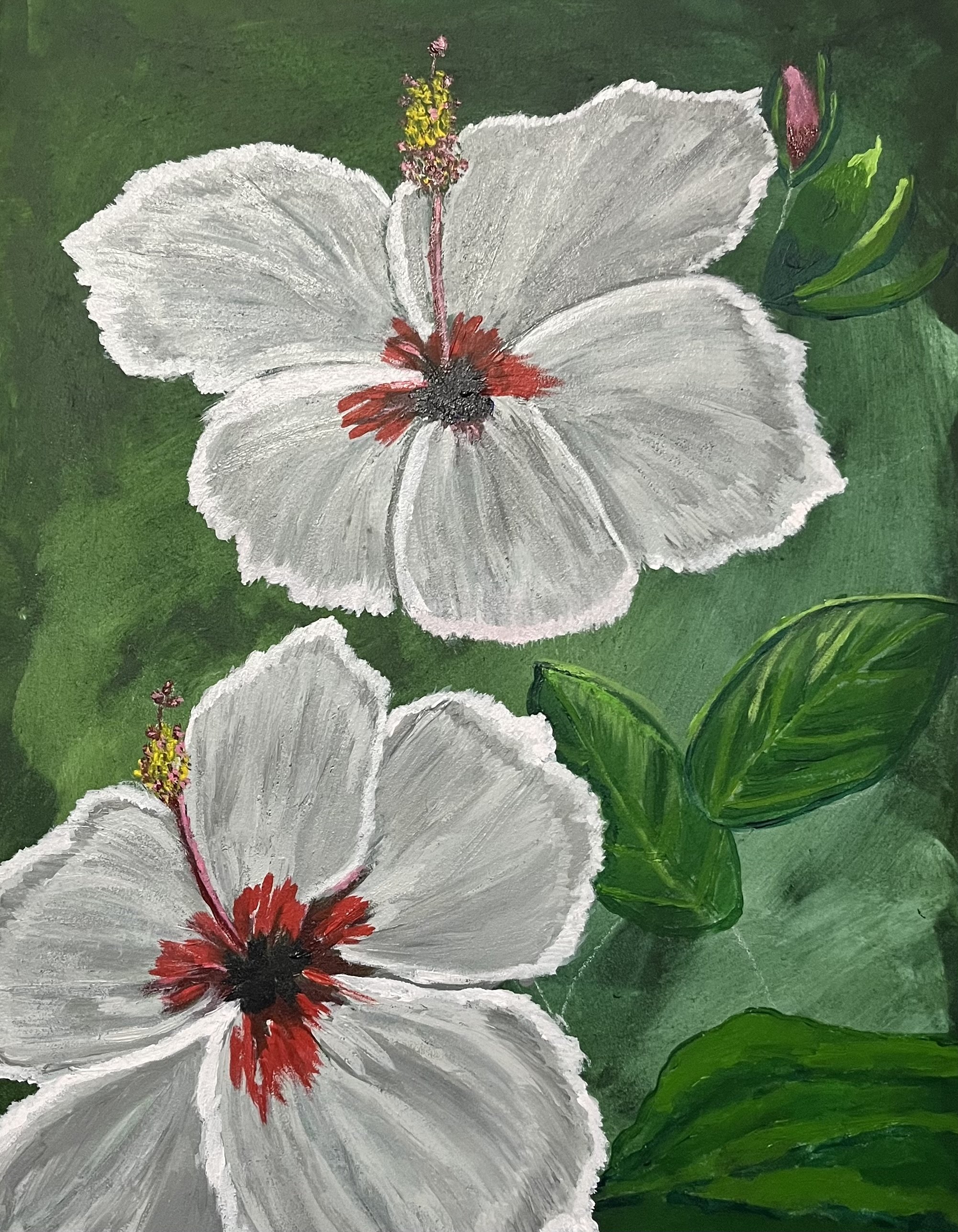 White Hibiscus
Acrylic on Canvas