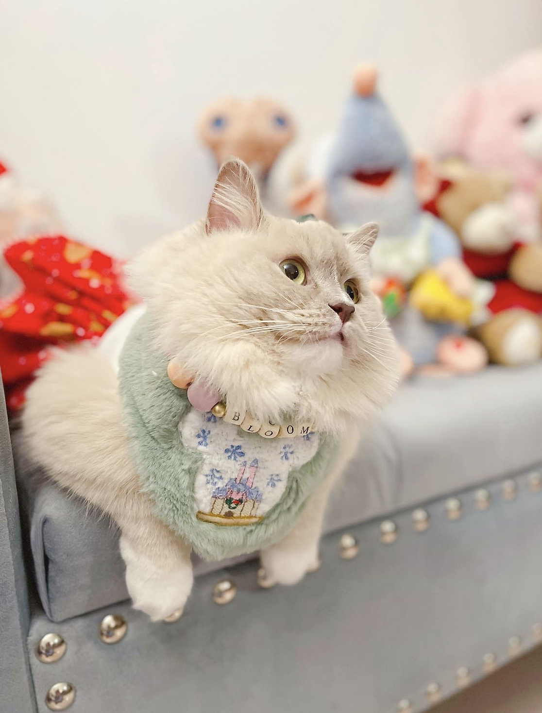 Isy-and-Cris-Pet-Model-35.PNG