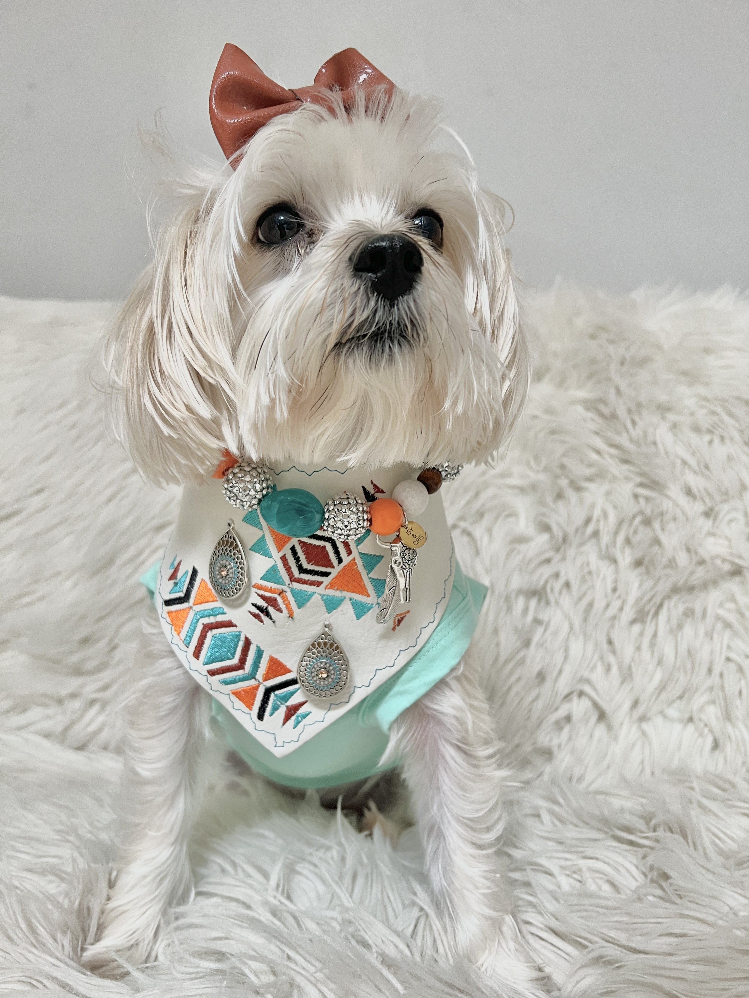 SantaFeChunkyPetNecklace8.jpg