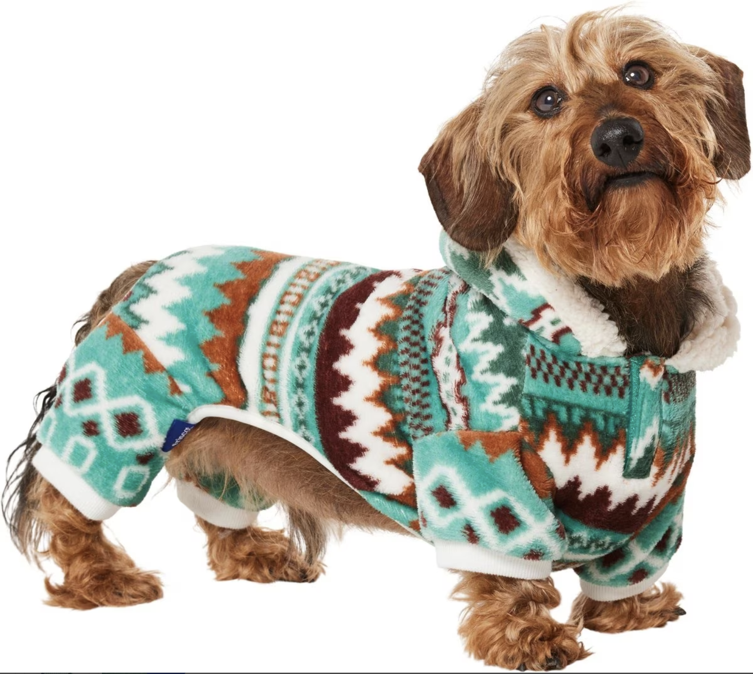Broen dog wearing an Aztec print Pajama