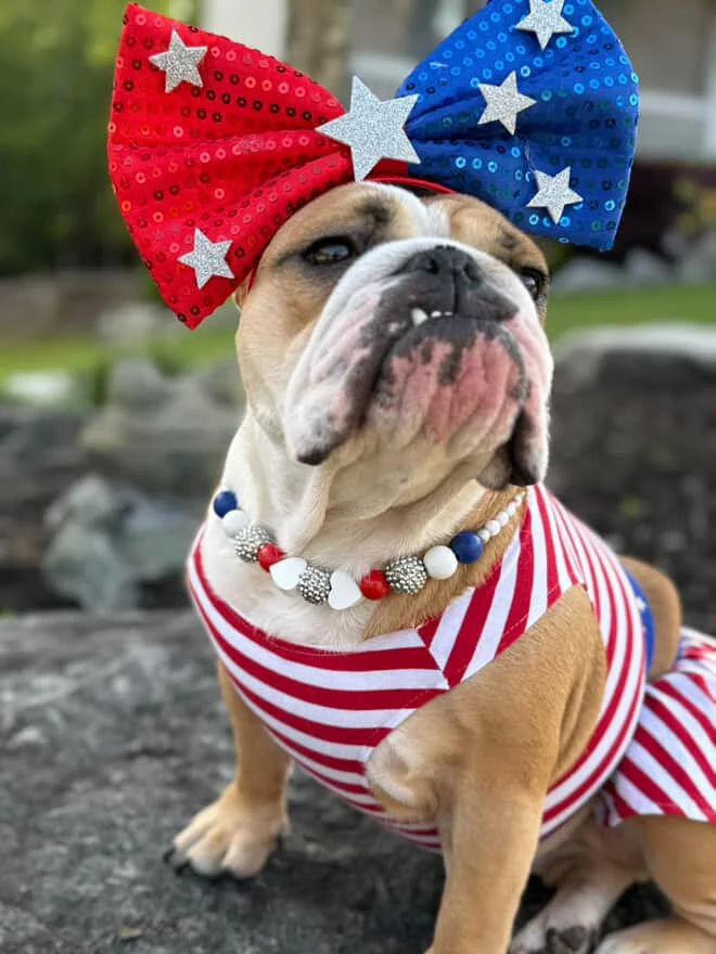 USA Proud Pet Necklaces
