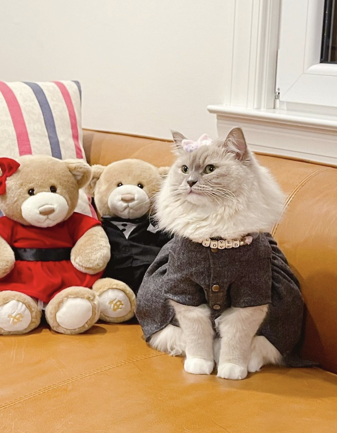 Isy-and-Cris-Pet-Model-45.PNG