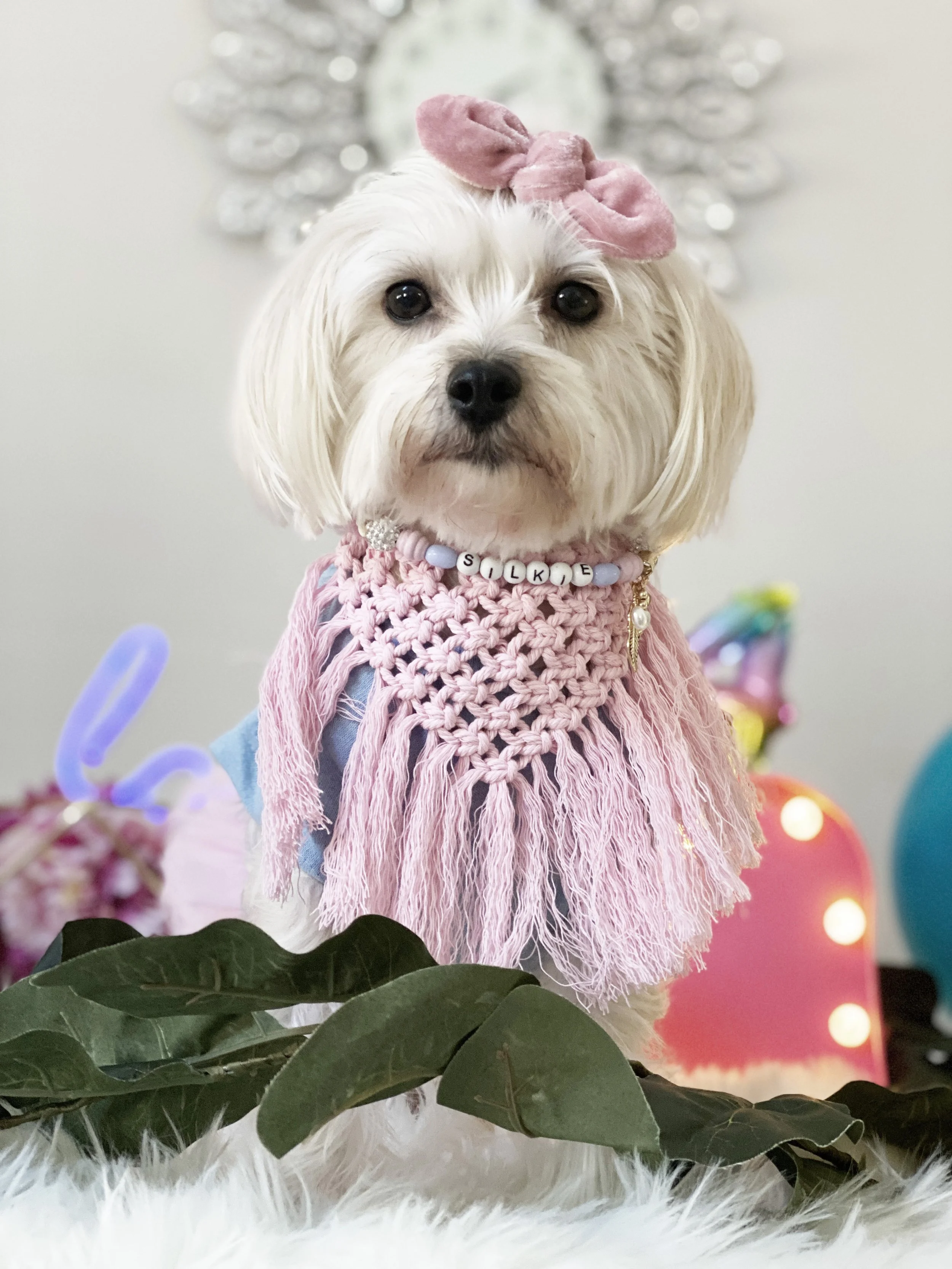 Isy-and-Cris-Pet-Model-8.jpg