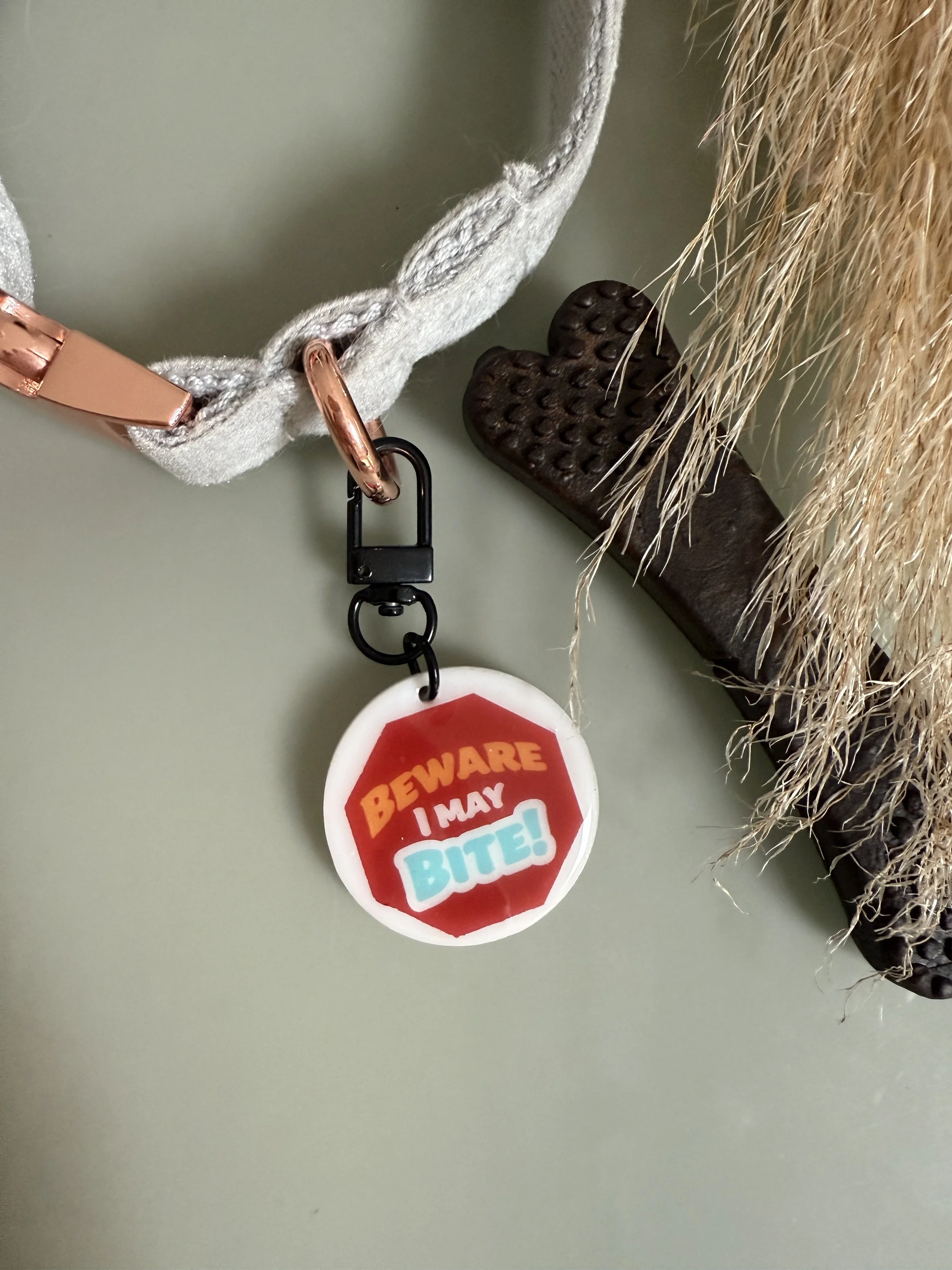 Beware I May Bite Collar Charm