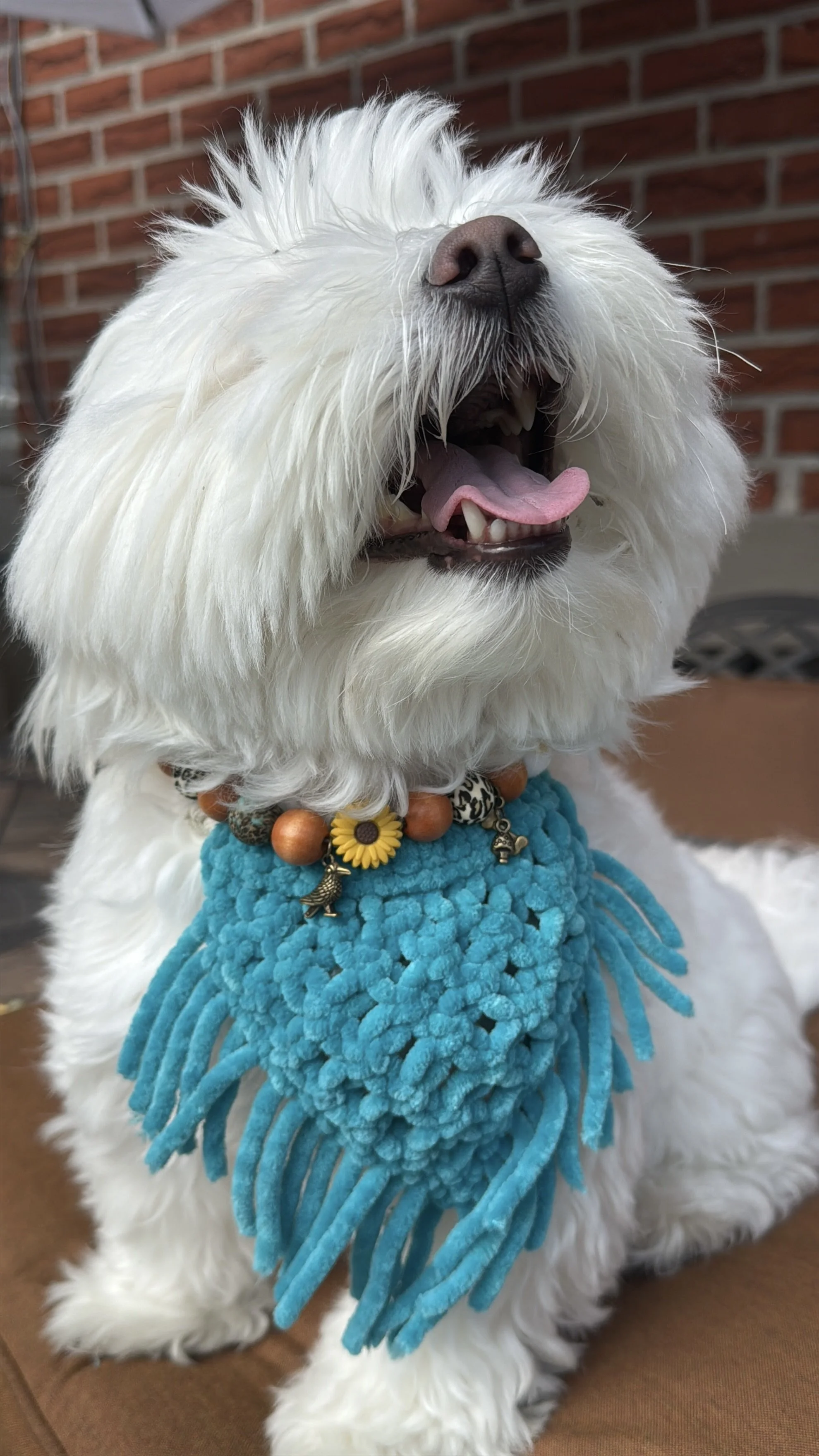 WildSunflowerPetNecklace4.jpg