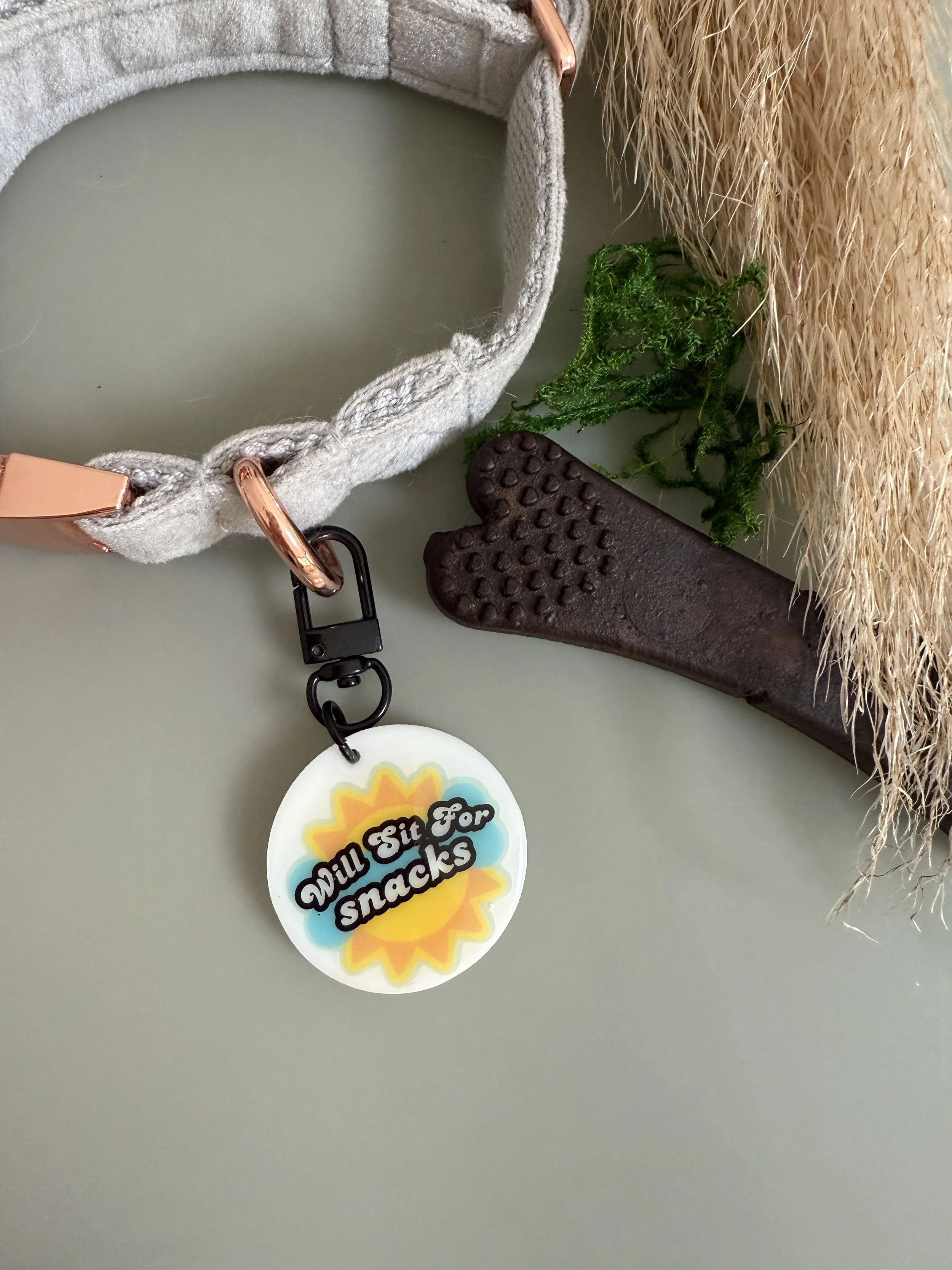 Sits for Snacks Collar Charm