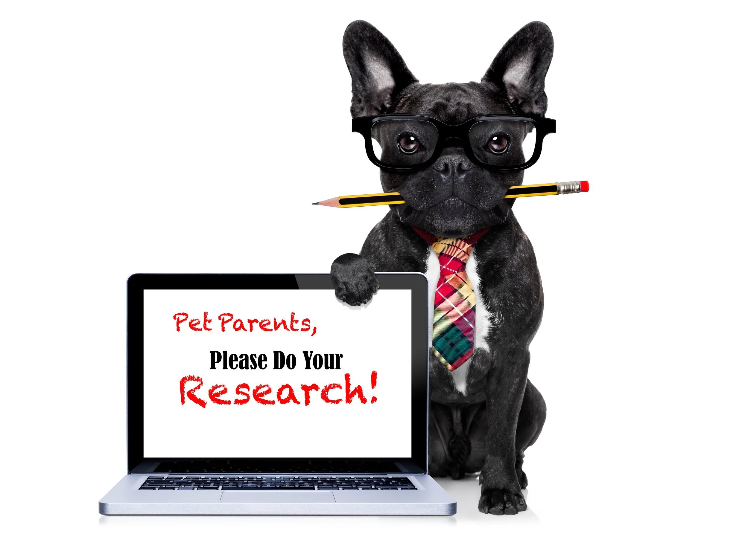A French Bulldog holding a sign that reads Pet Parents, Please Do Your Research!